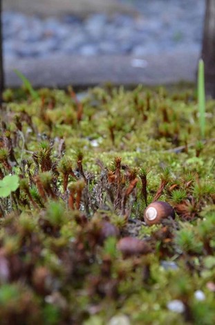 20160206-DSC_0104.jpg