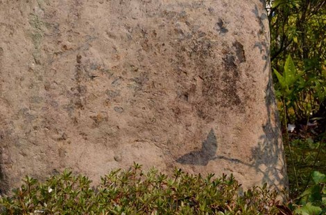 20160328-DSC_0134.jpg