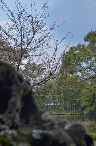 20160328-DSC_0164.jpg