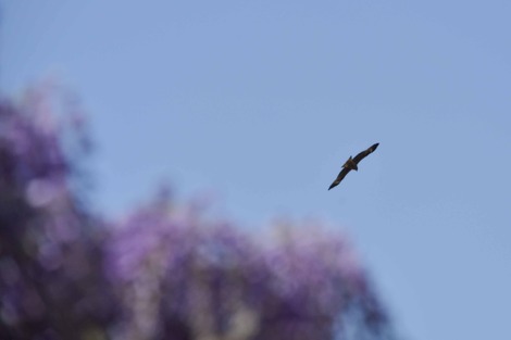 20180408-DSC_6405.jpg