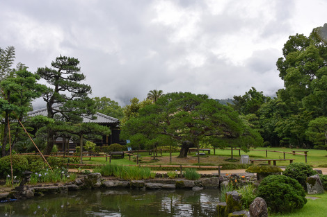 20180619-DSC_7506.jpg