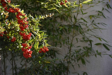 20181025-DSC_8364圧縮.jpg