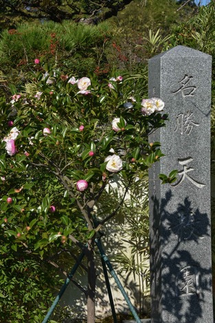 20181025-DSC_8365圧縮.jpg