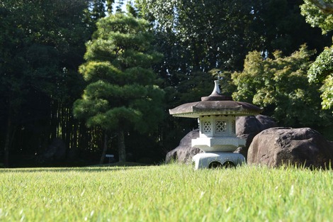 20181025-DSC_8366圧縮.jpg