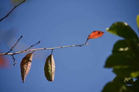 20181025-DSC_8367圧縮.jpg