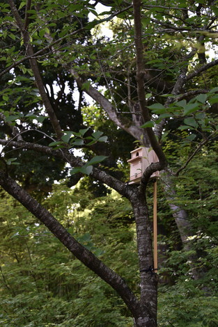 20190515-20190515-DSC_1087.jpg
