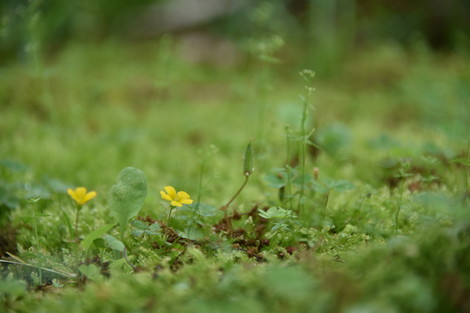 20190515-20190515-DSC_1089.jpg