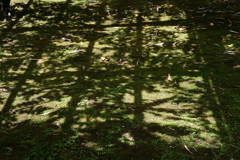 20190515-20190515-DSC_1100.jpg