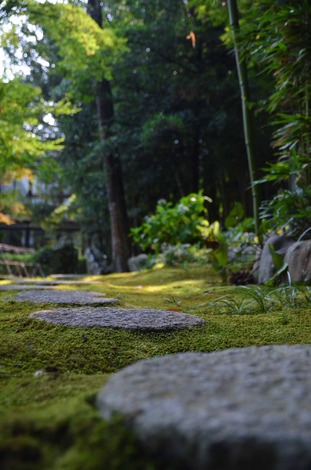 DSC_0141.jpg