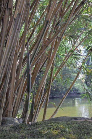 DSC_0162.jpg