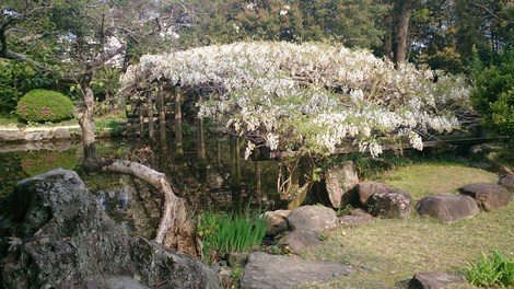 DSC_0172.jpg