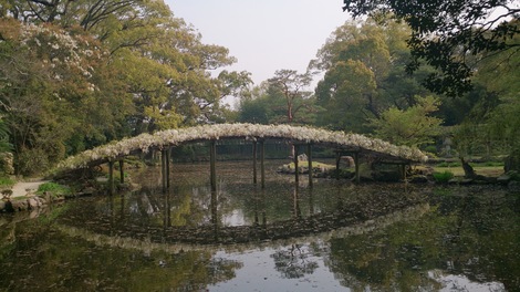 DSC_0173.jpg