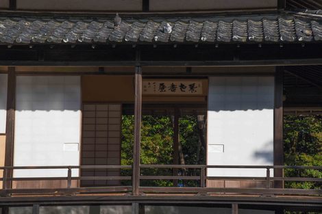 DSC_0966.jpg