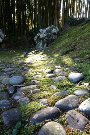 DSC_1224.jpg