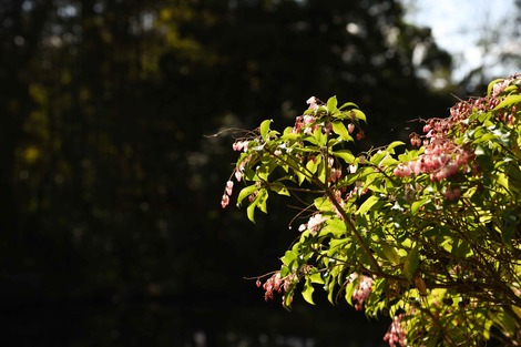 DSC_1234.jpg