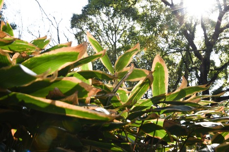 DSC_1248.jpg