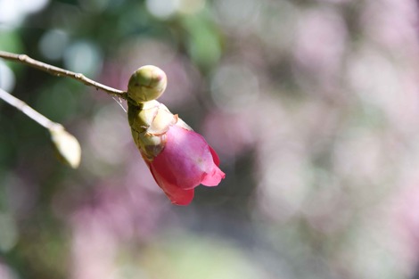 DSC_1255.jpg