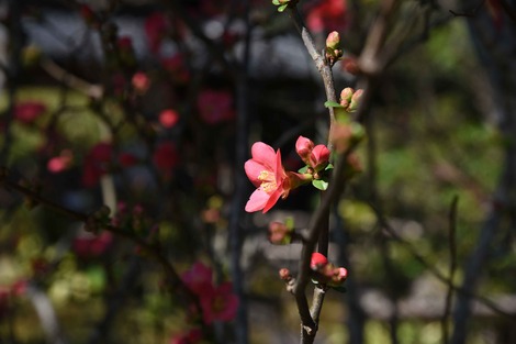 DSC_1267.jpg