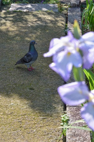 DSC_1486.jpg