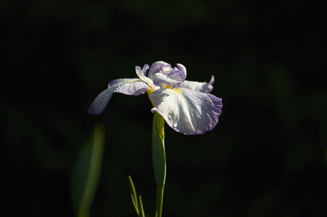 DSC_9004.jpg