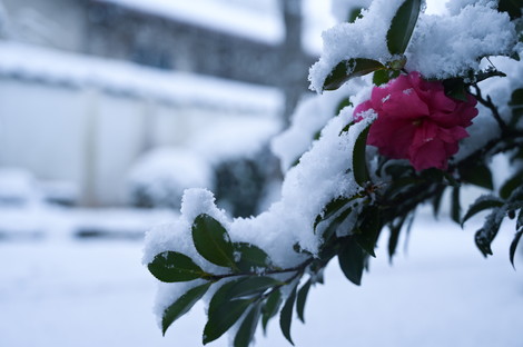 DSC_9144.jpg