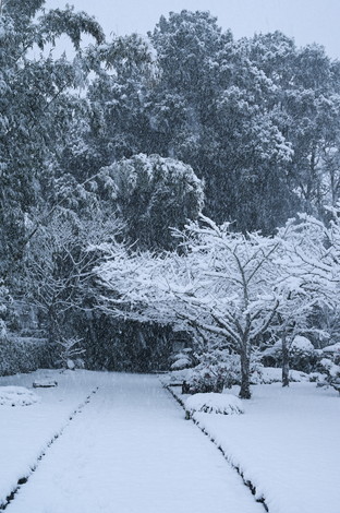 DSC_9151.jpg