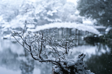 DSC_9181.jpg