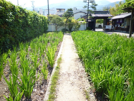 P1030440.JPG