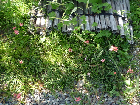 P1030456.JPG
