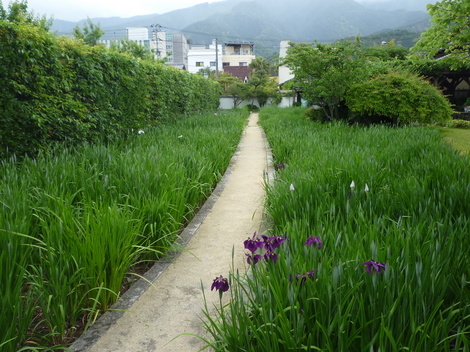 P1030462.JPG