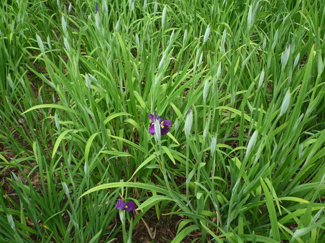 P1030464.JPG