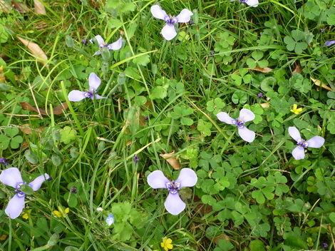 P1030467.JPG