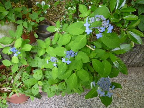 P1030489.JPG