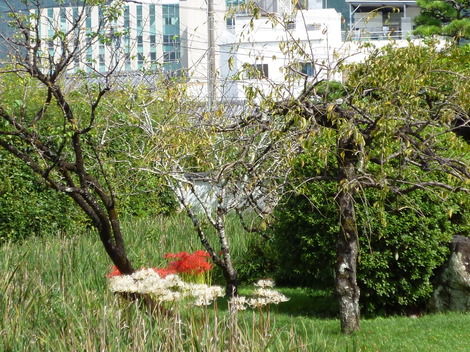 P1290130.JPG