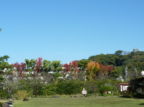P1290388.JPG