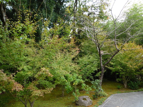 P1290398.JPG