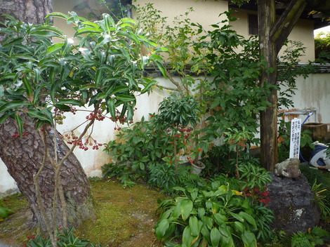 P1290414.JPG