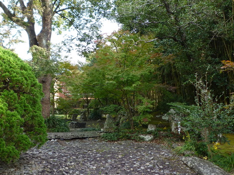 P1290420.JPG
