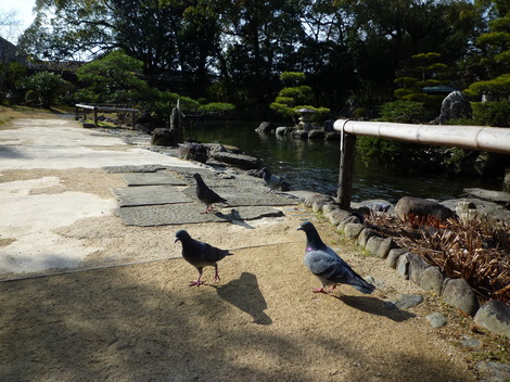 P1290610.JPG