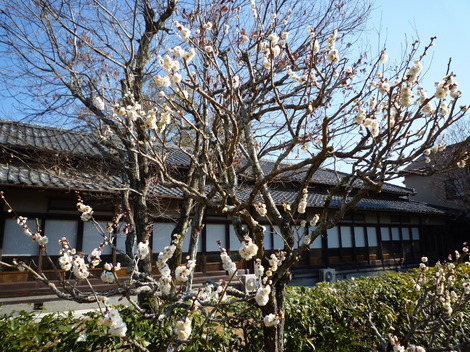 P1290710.JPG