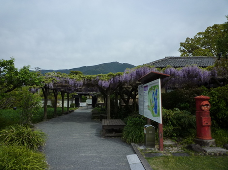 P1290889.JPG