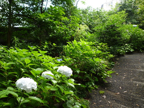 P1300225.JPG