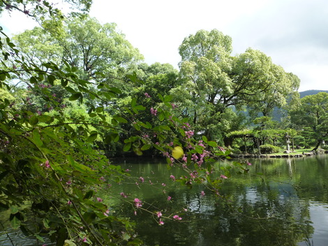 P1310621.JPG