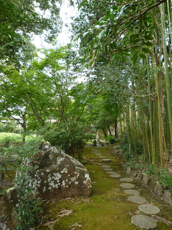 P1310647.JPG