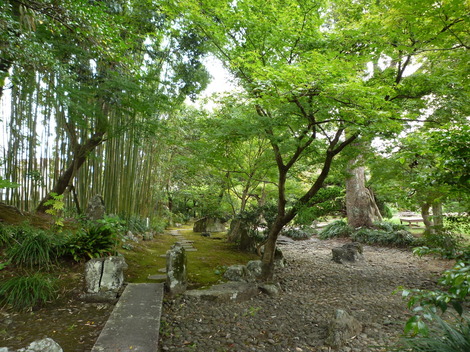 P1310648.JPG