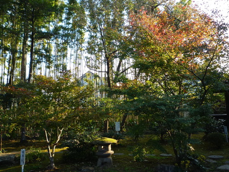 P1310799.JPG