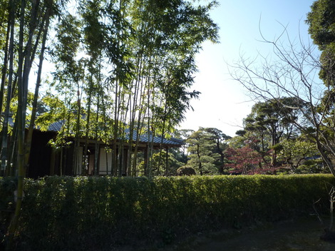 P1310846.JPG