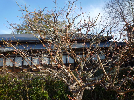 P1360785.JPG