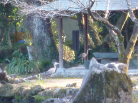 P1360800.JPG