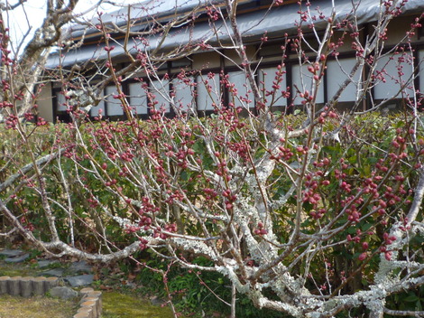 P1360818.JPG
